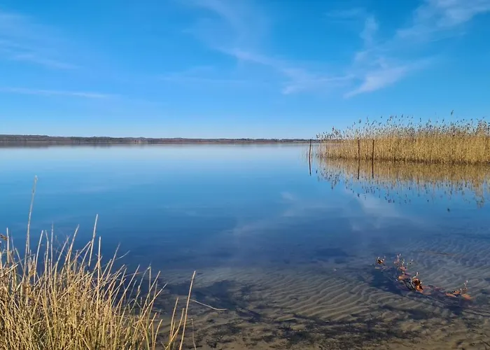 度假居 Seeoase - 70qm - Kamin -terrassen - Parkplatz - Badestelle Fusslaeufig 希姆斯塔尔